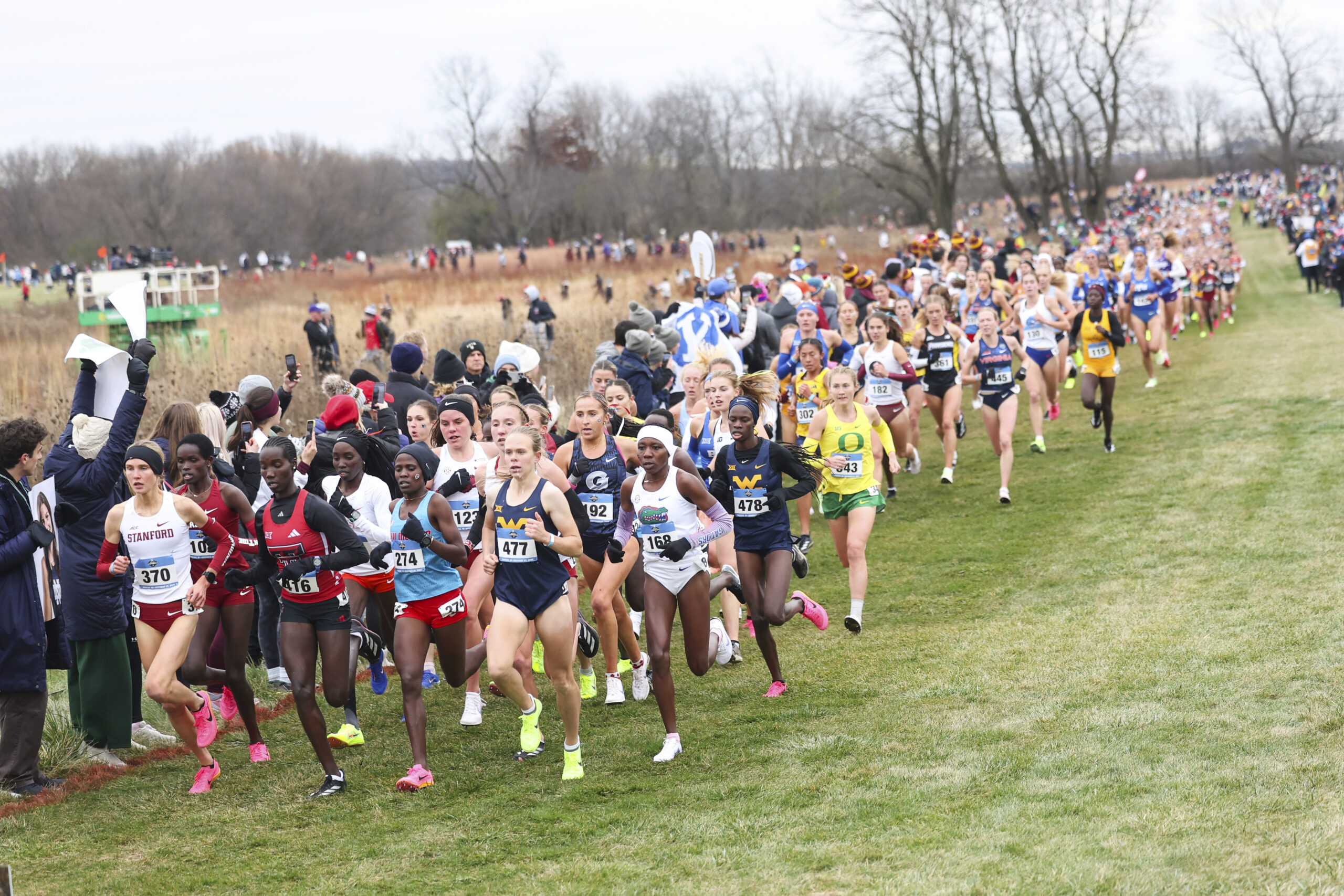 WVU takes second at NCAA cross-country national championships, Ceili McCabe places 6th